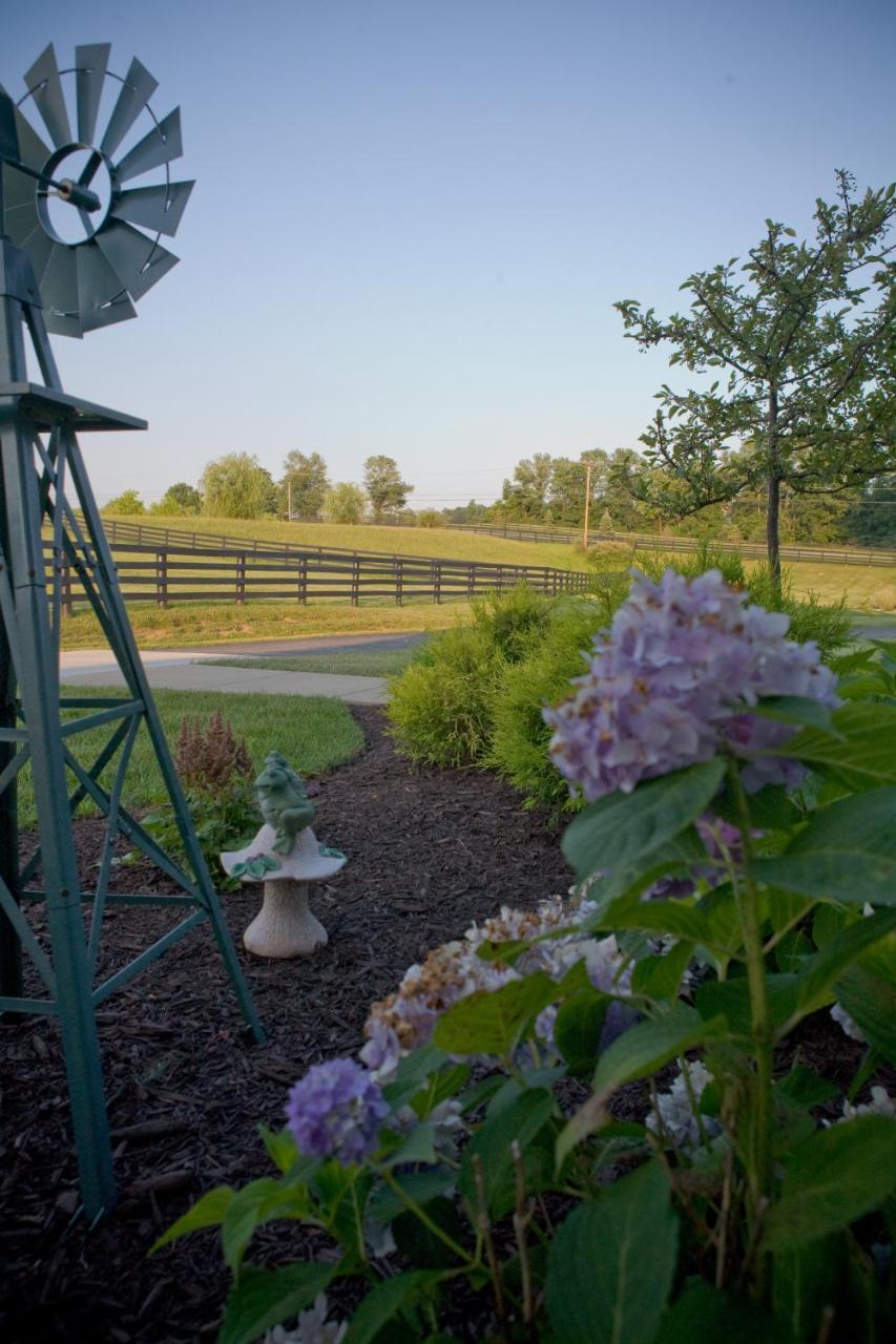 Pillow And Paddock B&B La Grange Екстериор снимка